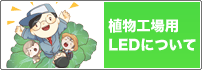 植物工場用LEDについて