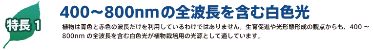 LED照明tecoled直結タイプの６つの特長：省電力、低UV、低ノイズ、長寿命、水銀ゼロ、CO2削減