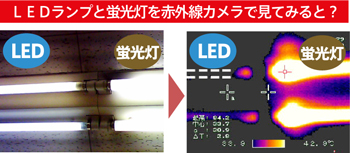 LED照明と蛍光灯