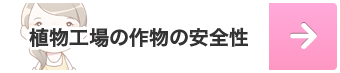 植物工場の作物の安全性